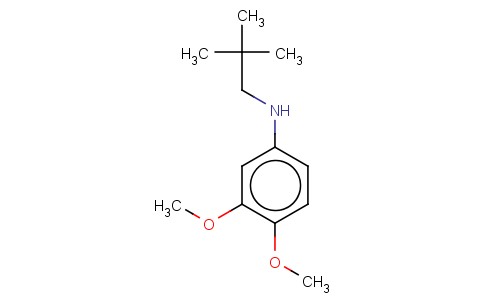 (2,2-DIMETHYLPROPYL)-(3,4-DIMETHOXY-PHENYL)-AMINE