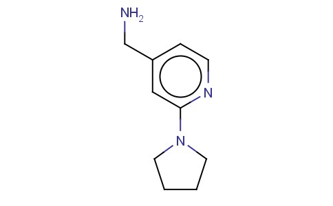 (2-(PYRROLIDIN-1-YL)PYRID-4-YL)METHYLAMINE