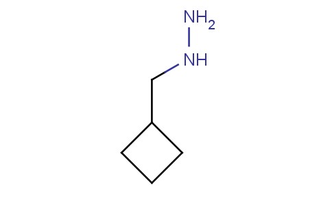 1-(CYCLOBUTYLMETHYL)HYDRAZINE