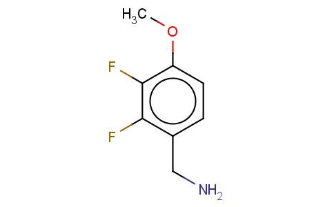 2,3-DIFLUORO-4-METHOXYBENZYLAMINE
