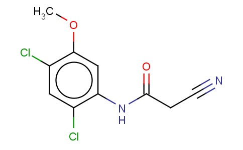 2-CYANO-N-(2,4-DICHLORO-5-METHOXYPHENYL)ACETAMIDE