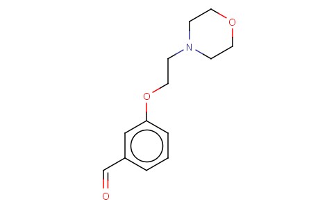 3-(2-MORPHOLIN-4-YLETHOXY)BENZALDEHYDE