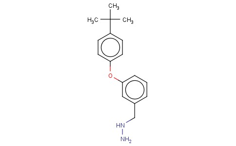 3-(4-TERT-BUTYL-PHENOXY)-BENZYL-HYDRAZINE