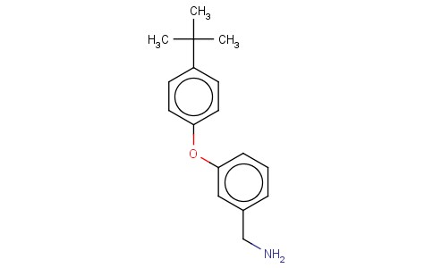 3-(4-TERT-BUTYL-PHENOXY)BENZYLAMINE