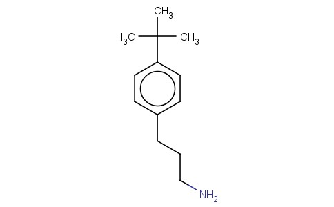 3-(4-TERT-BUTYLPHENYL)PROPAN-1-AMINE