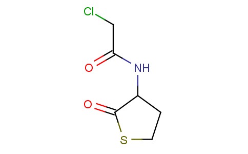 3-CHLOROACETAMIDO-2-OXO-TETRAHYDROTHIOPHENE