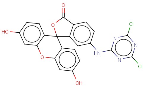 6-(4,6-DICHLOROTRIAZINYL)AMINOFLUORESCEIN
