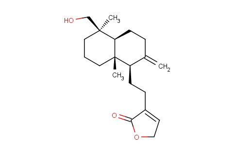 ANDROGRAPANIN