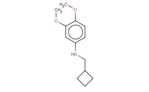 CYCLOBUTYLMETHYL-(3,4-DIMETHOXY-PHENYL)-AMINE