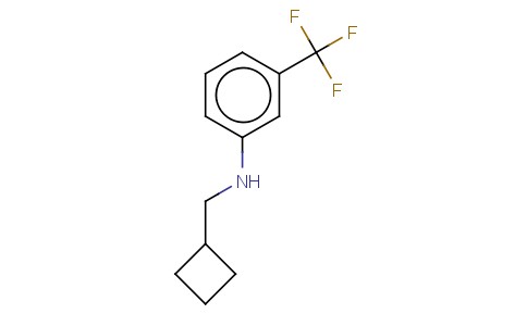 CYCLOBUTYLMETHYL-(3-TRIFLUOROMETHYL-PHENYL)-AMINE
