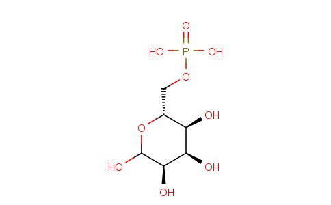 D-ALLOSE-6-PHOSPHATE