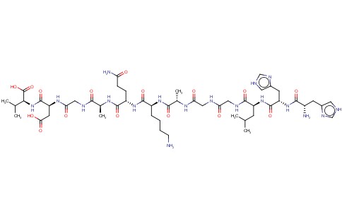 HIS-HIS-LEU-GLY-GLY-ALA-LYS-GLN-ALA-GLY-ASP-VAL