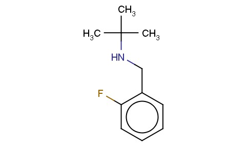 N-(2-FLUOROBENZYL)-2-METHYL-2-PROPANAMINE