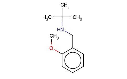 N-(2-METHOXYBENZYL)-2-METHYLPROPAN-2-AMINE