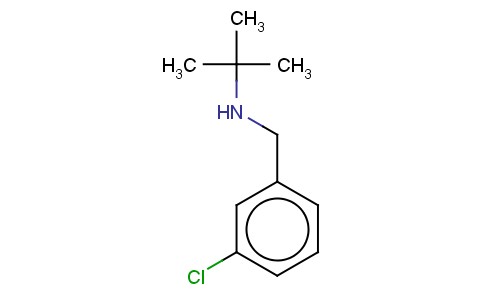 N-(3-CHLOROBENZYL)-2-METHYL-2-PROPANAMINE