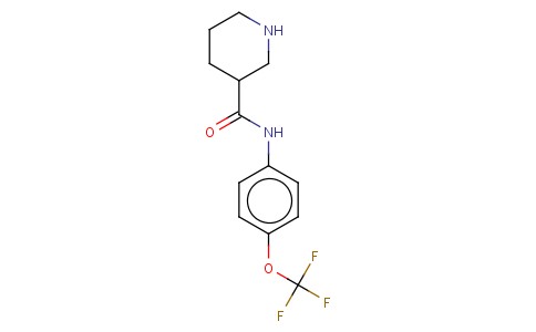 N-(4-TRIFLUOROMETHOXYPHENYL)PIPERIDINE-3-CARBOXAMIDE