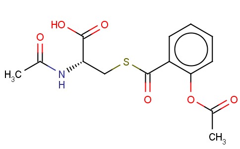 SALMISTEINE